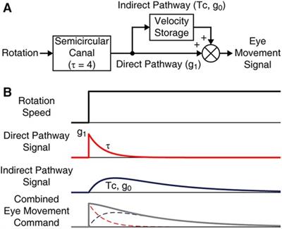 Symptom reduction in mal de débarquement syndrome with attenuation of the velocity storage contribution in the central vestibular pathways